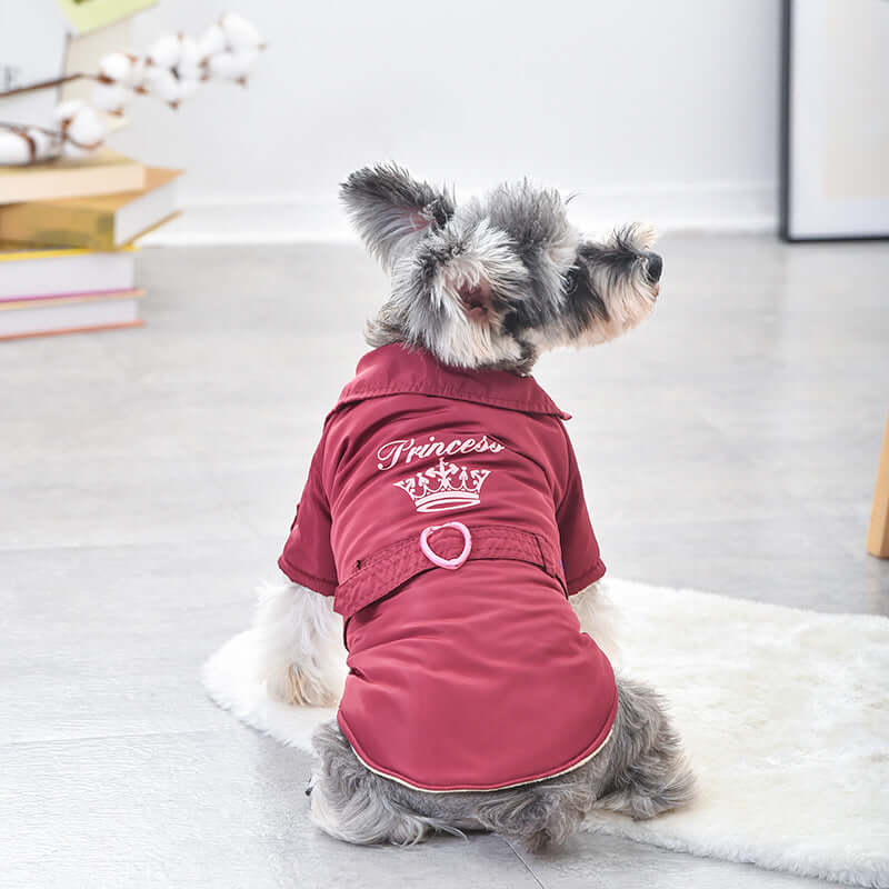 Dog wearing stylish clothing showing the benefits of dog clothing benefits for warmth and fashion.