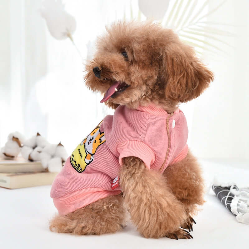 Cute dog dressed in a pink outfit, demonstrating when to dress your dog for style or warmth.
