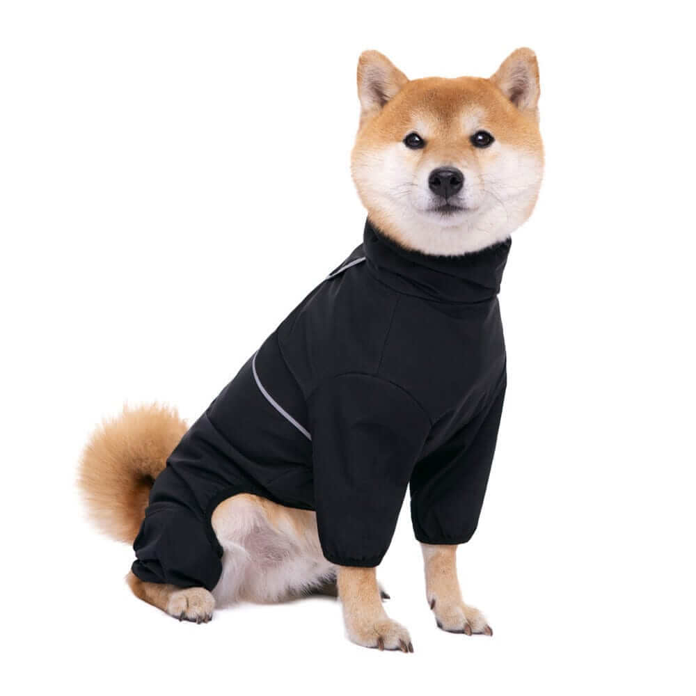 Anti-Storm Waterproof Dog Raincoat on a stylish Shiba Inu, offering full-body waterproof coverage for dogs.