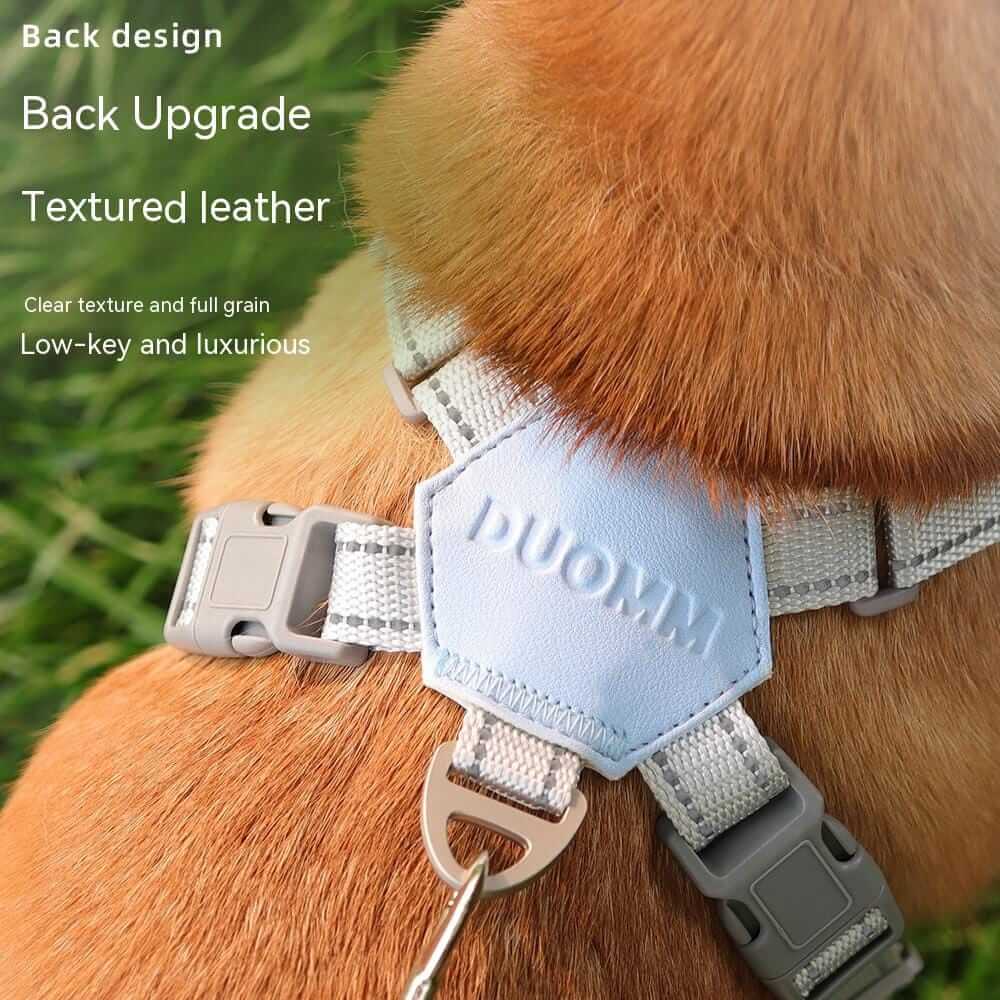 AirGlow Reflective Dog Harness back design with textured leather, showcasing upgraded features for comfort and luxury.