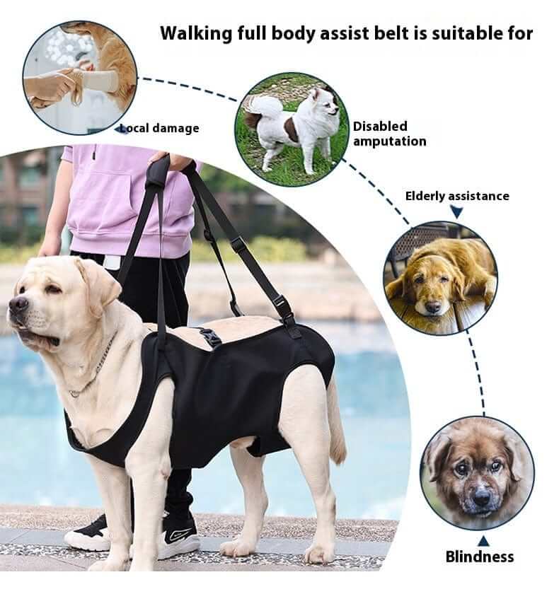 LiftEase Dog Support Harness for dogs, designed for mobility, featuring adaptive support for elderly and disabled pets.