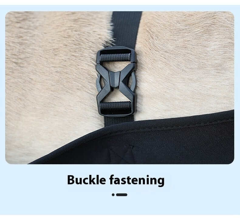 Close-up of the buckle fastening on the LiftEase Dog Support Harness for secure and comfortable fit.