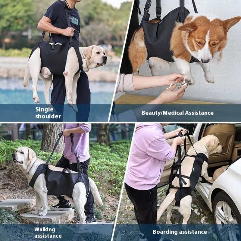 LiftEase Dog Support Harness for dogs, featured in single shoulder, beauty assistance, walking, and boarding support.