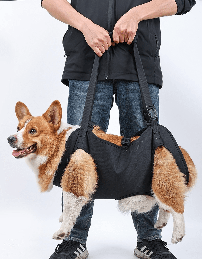 LiftEase Dog Support Harness for Dogs & Cats, ergonomic and supportive for mobility challenges, featured with adjustable straps.