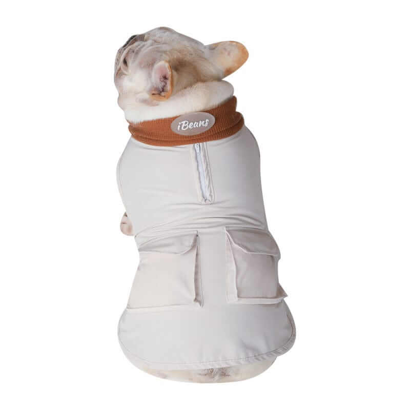 PupShield Waffle Dog Jacket on a dog, featuring windproof and waterproof design for dogs by Dogs & Cats.