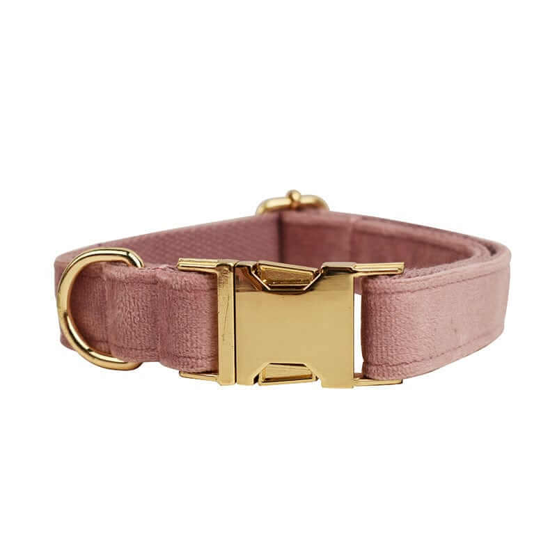 RoyalPaws Velvet Dog Set collar featuring soft pink velvet and gold hardware for dogs and cats.