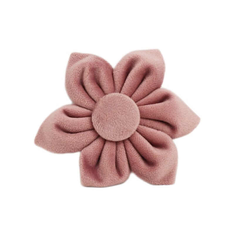 RoyalPaws Velvet Dog Set flower accessory for pets, 6-piece pet set by Dogs & Cats, soft plush design.