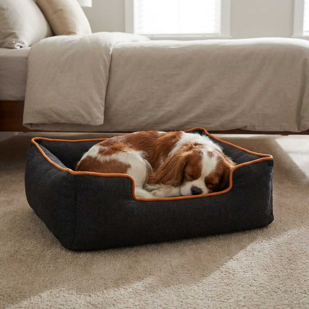 Square Nest for Pets dog bed featuring a comfortable, modern design perfect for resting and sleeping.