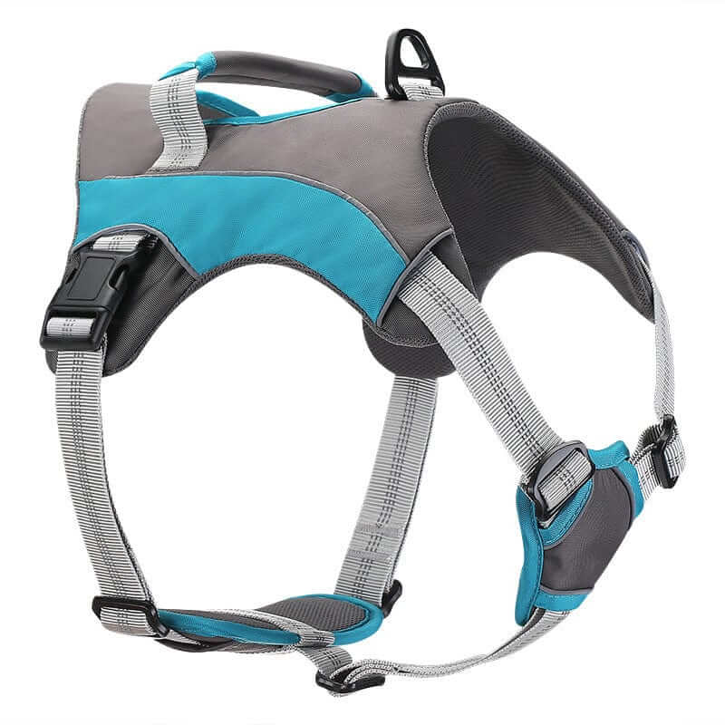 ActiveGuard Dog Harness, breathable material, anti-break design for secure outdoor activities.
