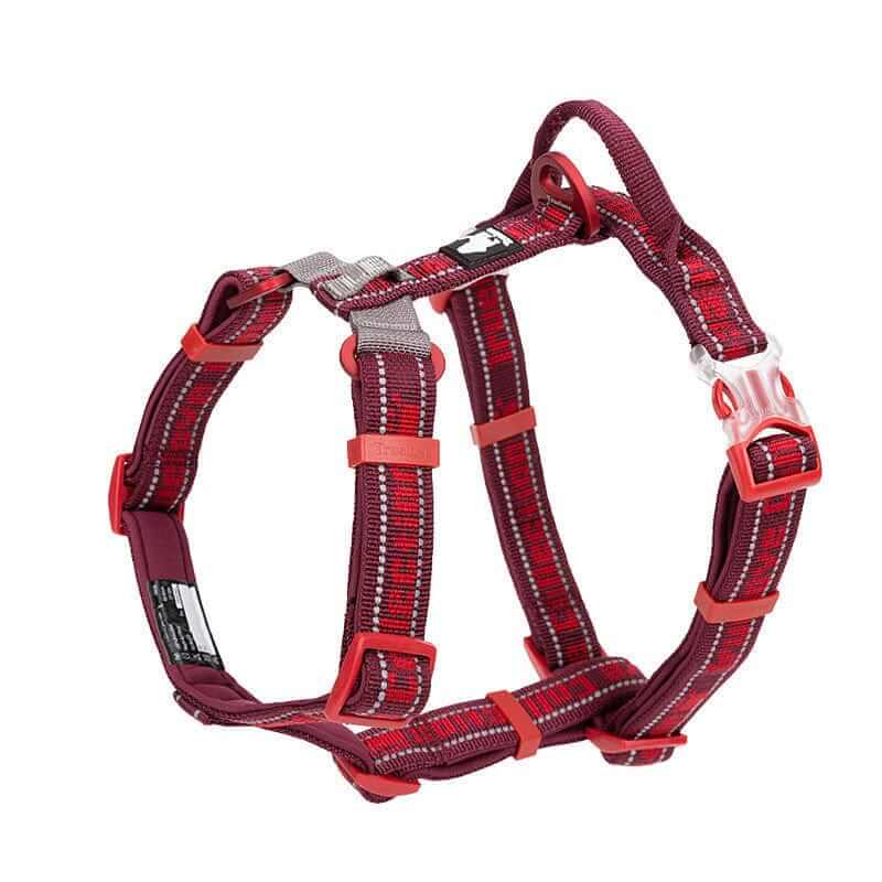 Adventure-Ready No-Pull Dog Harness with breathable mesh, padded support, and reflective detailing for dogs.