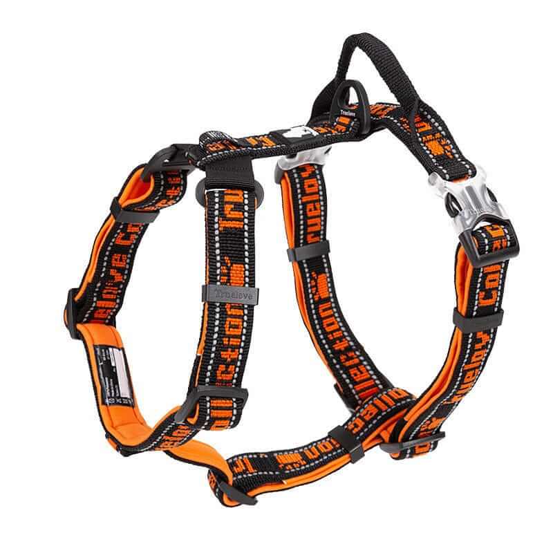 Adventure-Ready No-Pull Dog Harness, orange, no-pull design, breathable mesh, for active dogs & cats.