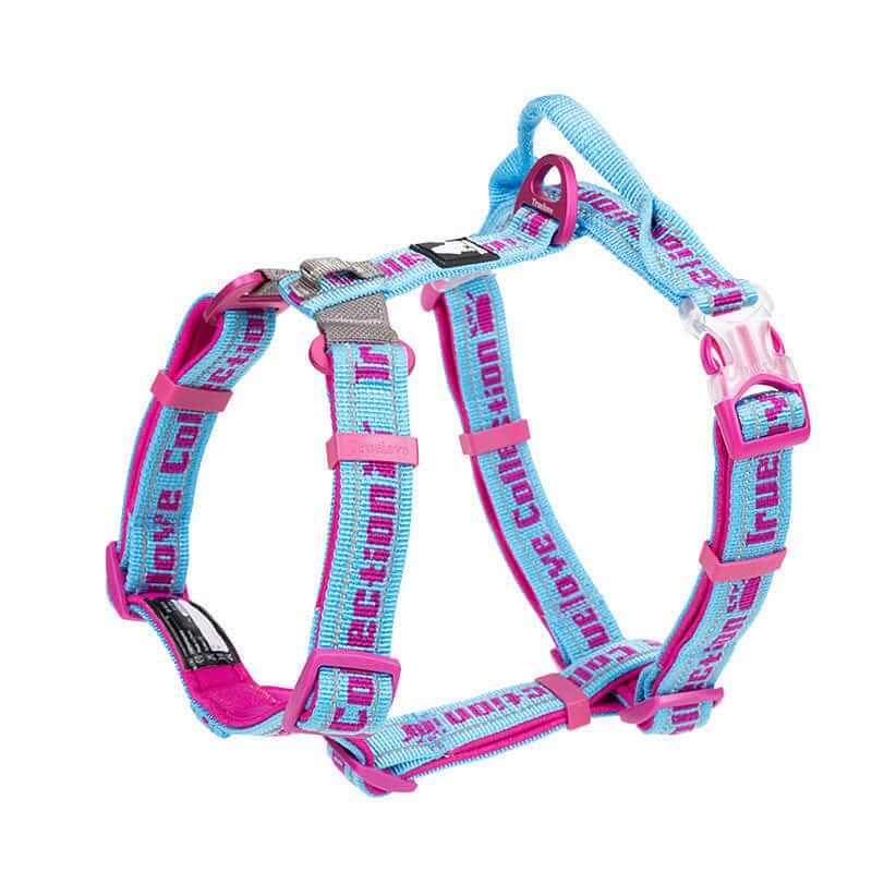 Adventure-Ready No-Pull Dog Harness in blue and pink, featuring breathable mesh and reflective detailing for comfort and safety.
