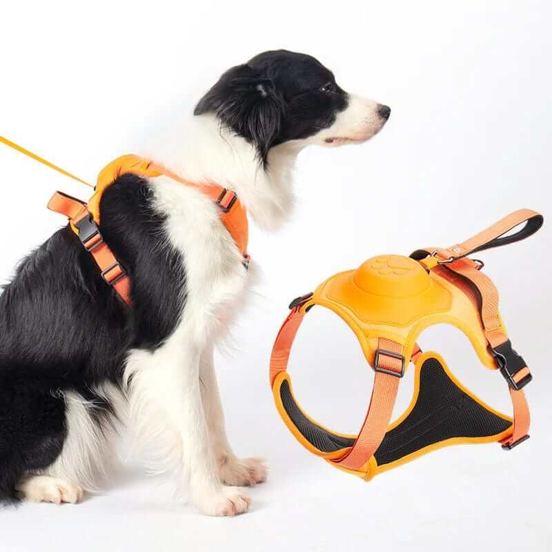 AirFlex Dog Harness on a dog with a retractable leash, featuring breathable and adjustable design for comfort.
