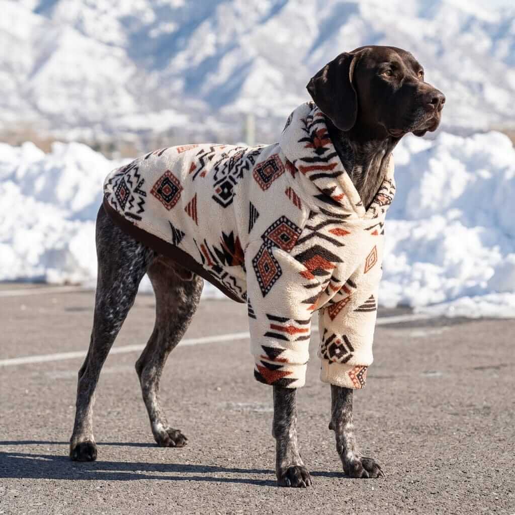 Alpine Sherpa Dog Hoodie on a dog in snow, featuring superior warmth, modern design, and cozy fleece by Dogs & Cats.