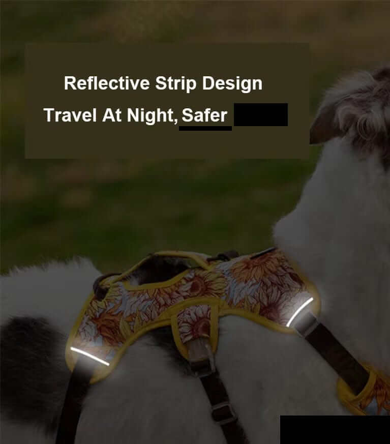 AquaGuard No-Pull Dog Harness with reflective strip design for safety, perfect for medium to large dogs from Dogs & Cats brand.