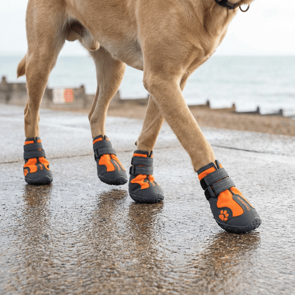 Big Dog Shoes Non-Slip Wear dog boots on a dog walking along the beach, featuring rugged sole and waterproof fabric.