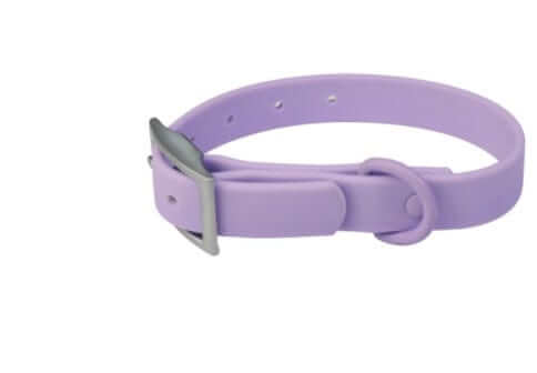 BiteGuard Harness, Collar & Leash Set collar in purple, durable and stylish for dogs and cats.