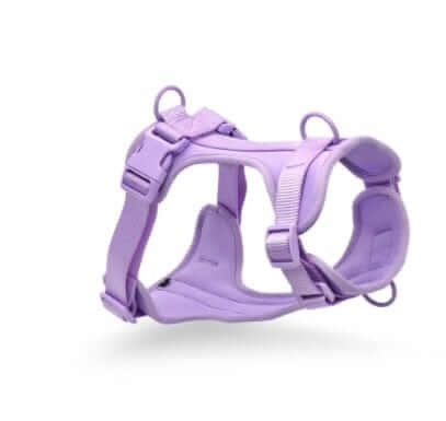 BiteGuard Harness, Collar & Leash Set - Purple BiteGuard Harness for dogs, durable and stylish from Dogs & Cats.