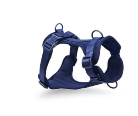 BiteGuard Harness, Collar & Leash Set - durable and comfortable dog harness designed for walks and adventures.