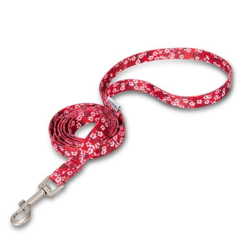 BloomTrail Floral Pet Leash - Lightweight, durable floral design leash for dogs and cats, perfect for walks and training.