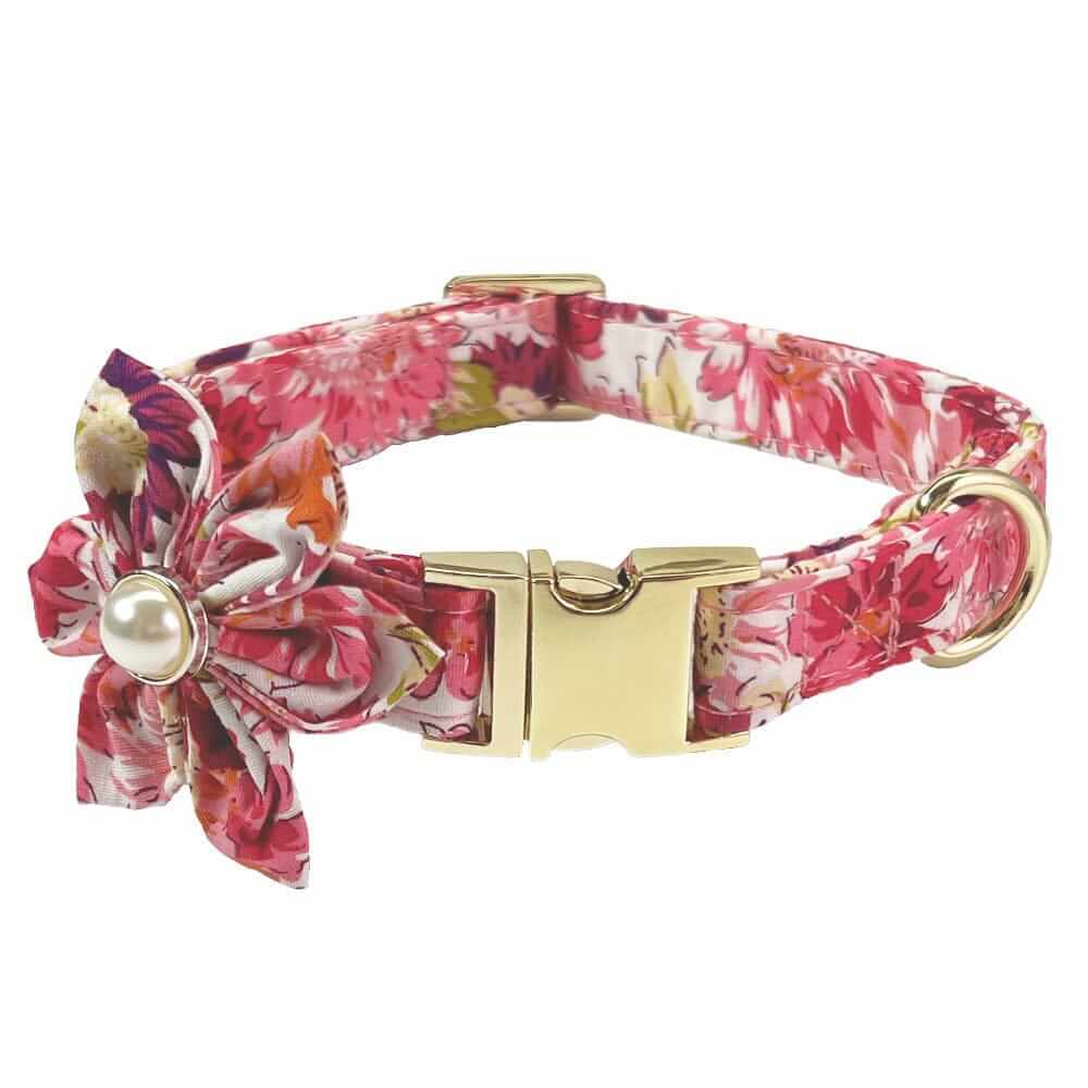 Bold Bloom Floral Metal Dog Collar features vibrant floral design and metal accents, perfect for medium & large dogs from Dogs & Cats.