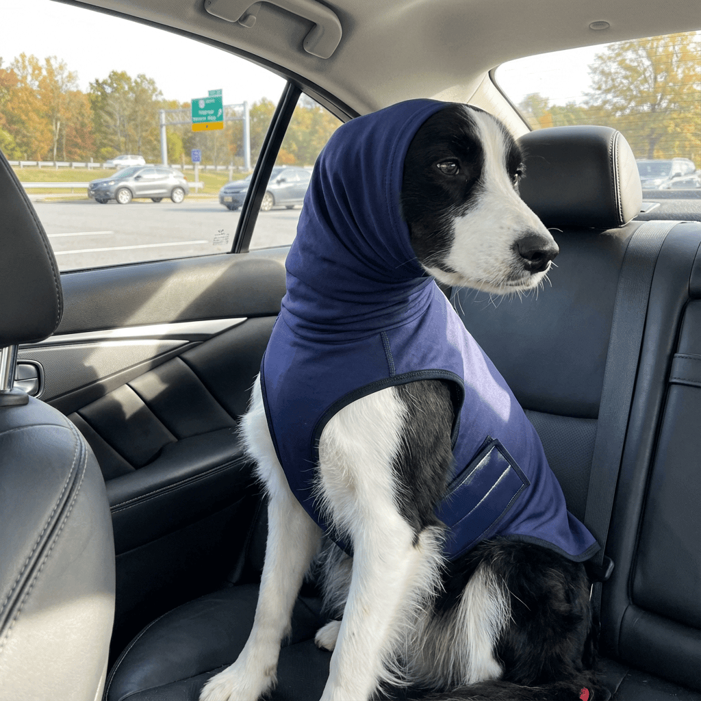 CalmEase Dog Anxiety Vest on a dog in a car, providing comfort and security for anxious pets by Dogs & Cats.