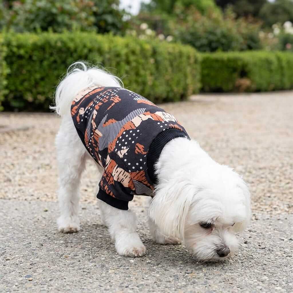 Camouflage Fleece Dog Sweater on a white dog, featuring cotton material and a comfortable fit for Dogs & Cats.