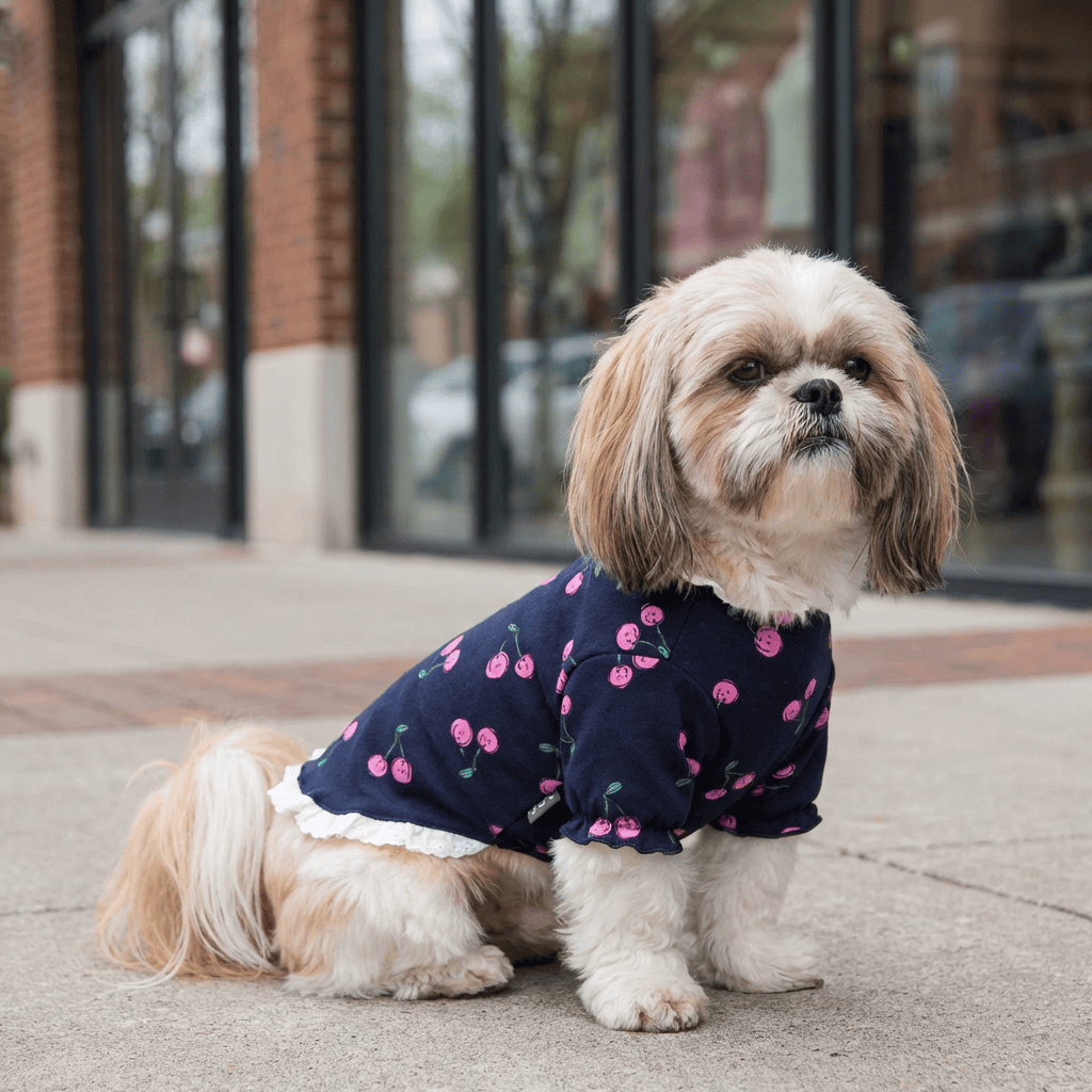 Cherry Printed Dog T-Shirt on a small dog outside, showcasing the cute design and lightweight comfort for Dogs & Cats.