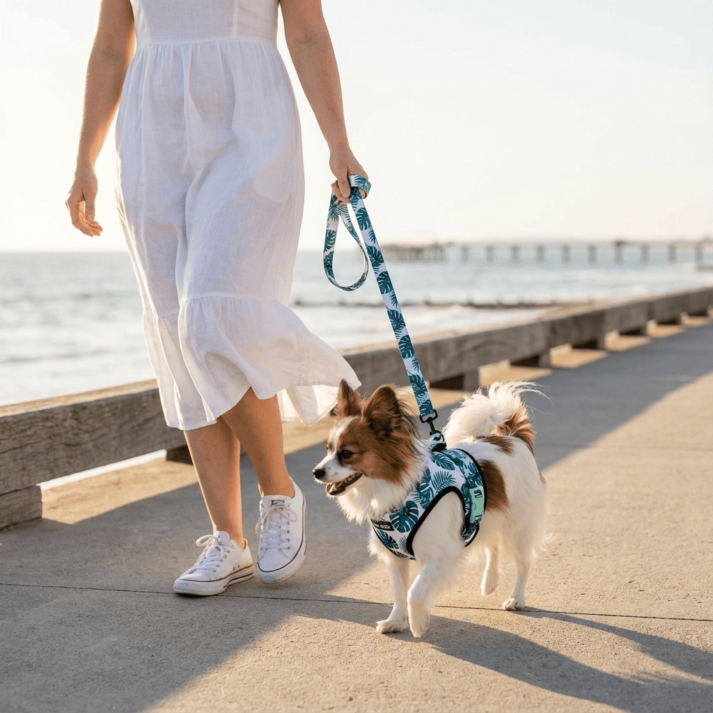 ChicStride Dog Harness & Leash set being used on a small dog during a beach walk.