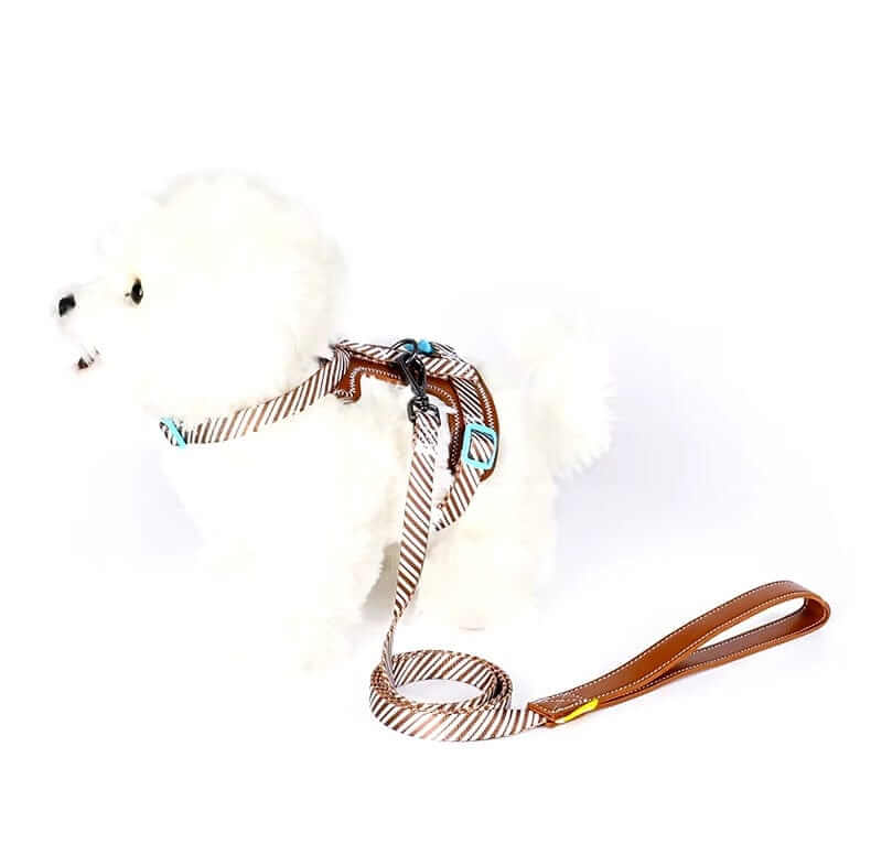 Classic Plaid Comfort Pet Harness Set on a small white dog, featuring soft cotton webbing and stylish plaid design.