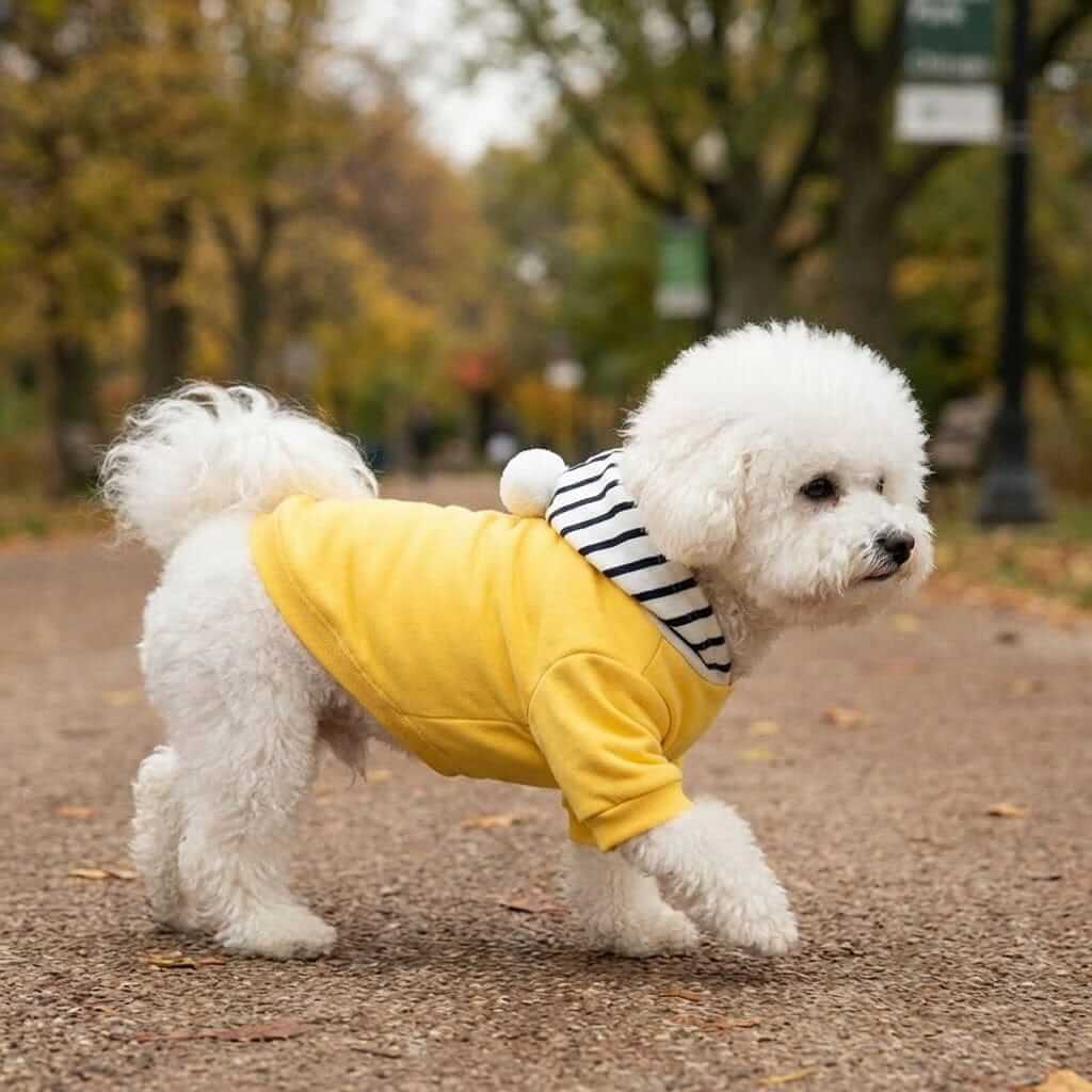 Comfy Dog Striped Hoodie worn by a fluffy white dog walking on a path, showcasing its cozy cotton features by Dogs & Cats.