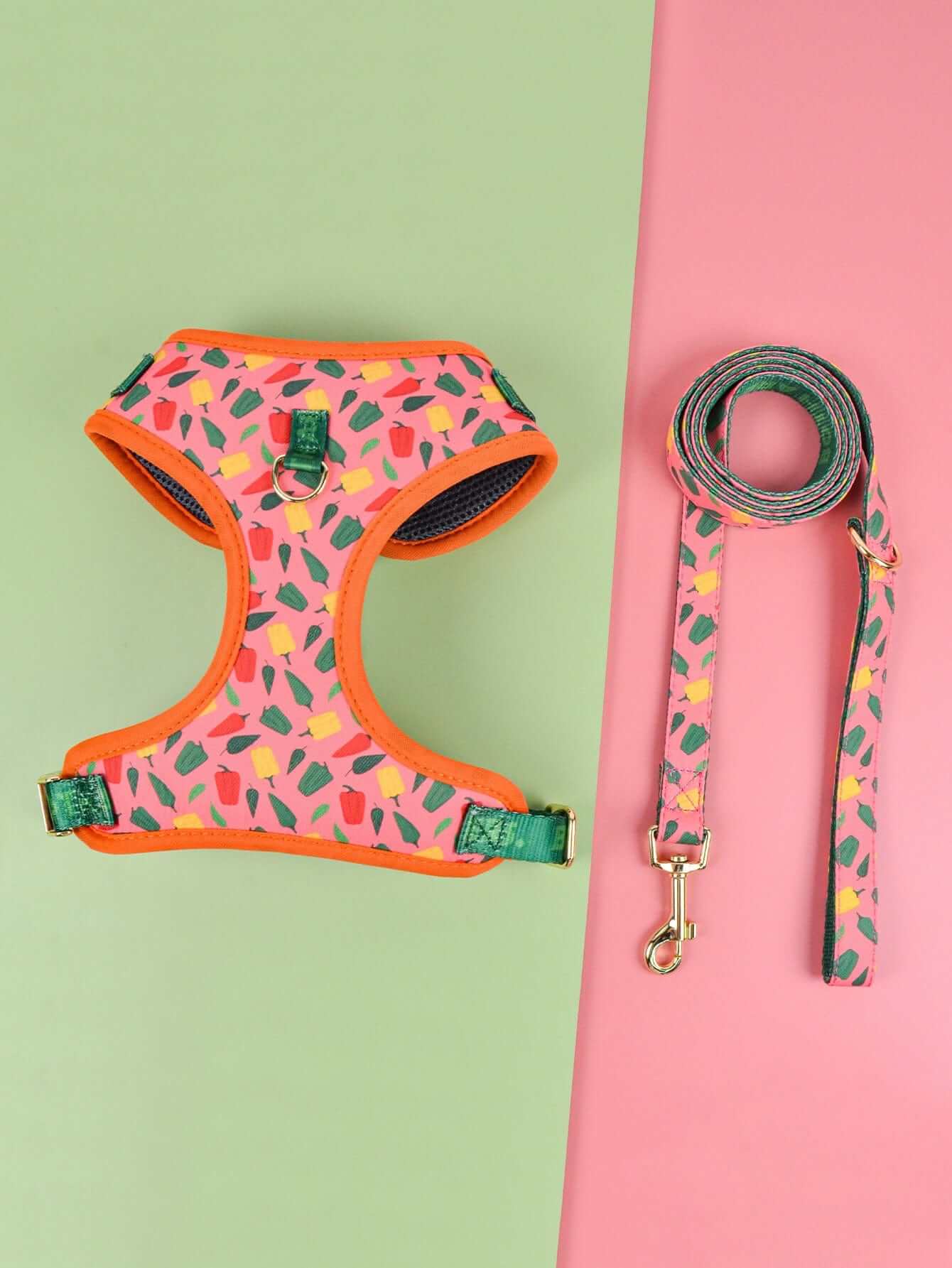 CoolStride Dog Harness with colorful pattern and matching leash for medium and large dogs by Dogs & Cats.