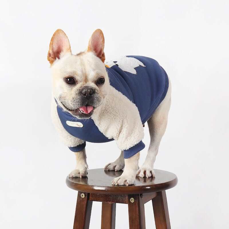 Cozy Bear Dog Hoodie on a French Bulldog, featuring a cute bear design, perfect for small dogs.