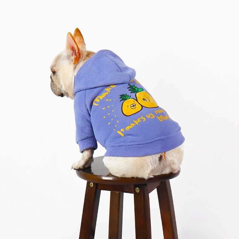 Cozy Designer Dog Hoodie on a French Bulldog showcasing trendy style and comfort in a vibrant purple design.