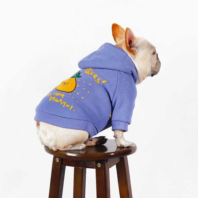 Comfortable Cozy Designer Dog Hoodie for trendy small breed dogs, featuring fun graphics and vibrant design by Dogs & Cats.