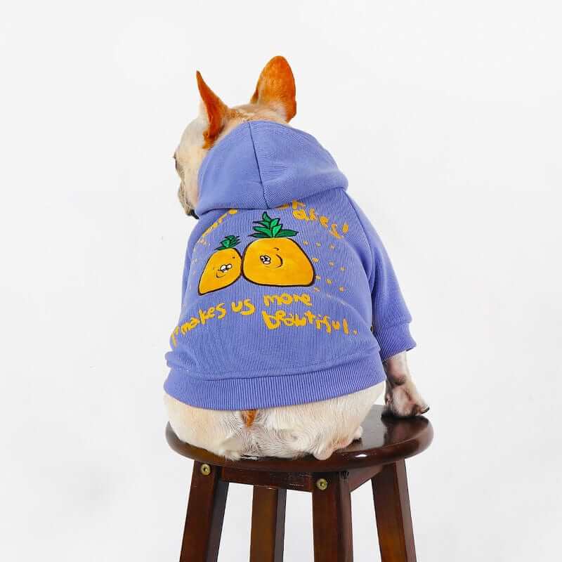 Cozy Designer Dog Hoodie on a French Bulldog, featuring a stylish purple design and cheerful graphics for dogs.