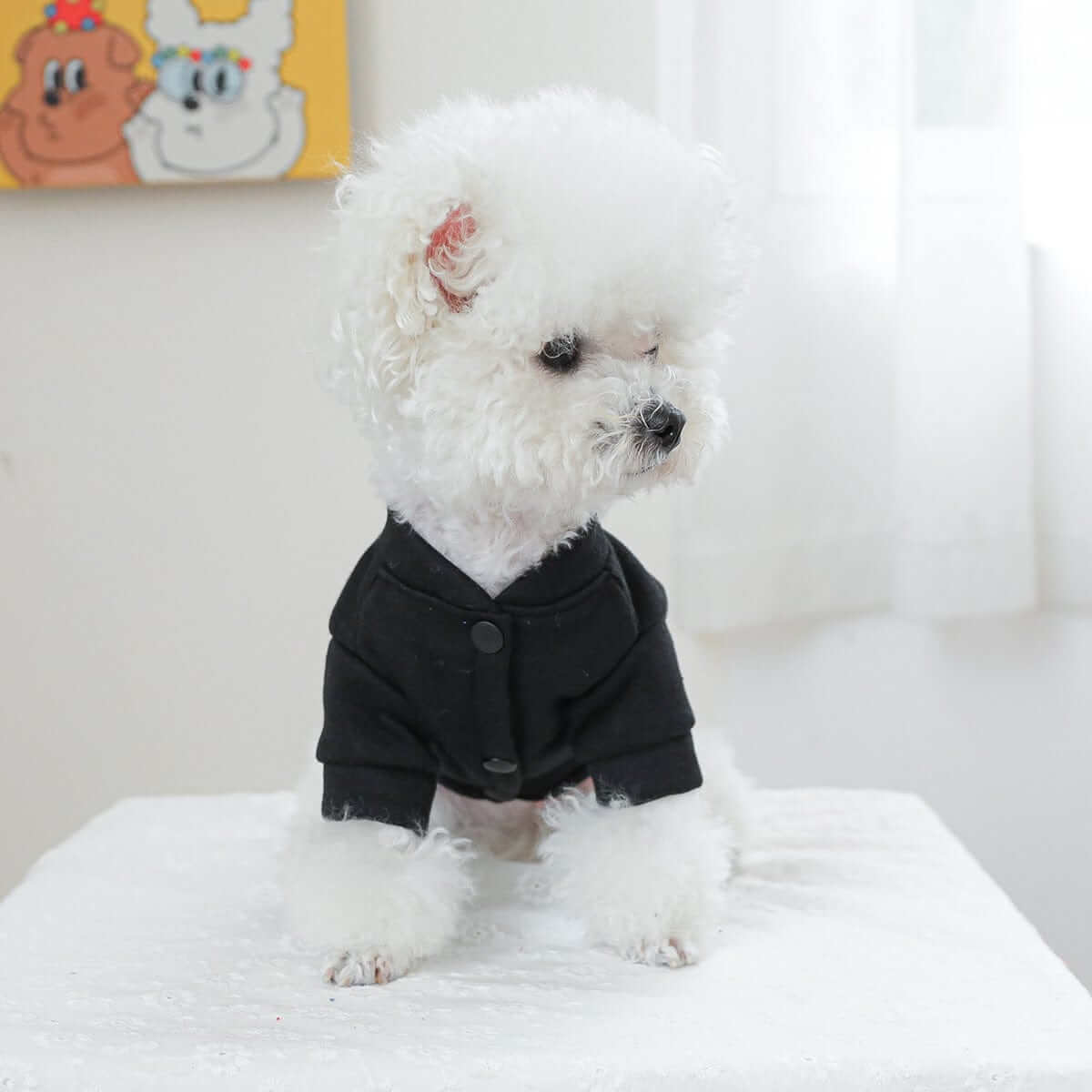 Cozy Free Kisses Dog Hoodie for small dogs, featuring stylish design and soft fabric, perfect for chilly weather.