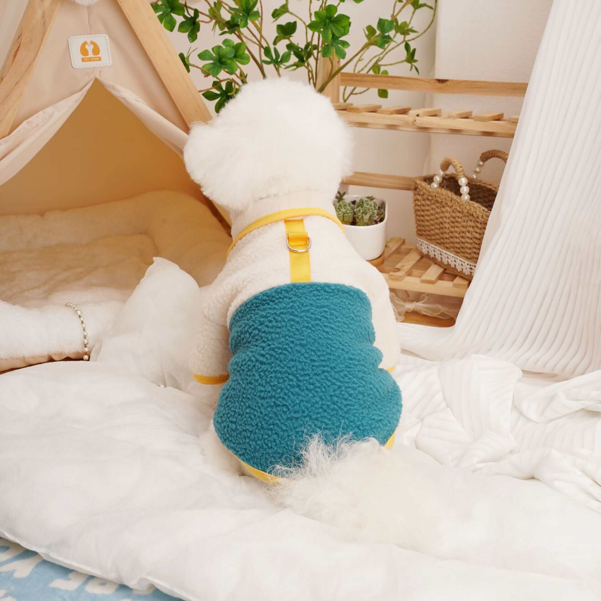 Cozy Spring & Fall Fleece Dog Jacket on a small dog, featuring lightweight comfort and breathable fleece for cool weather.