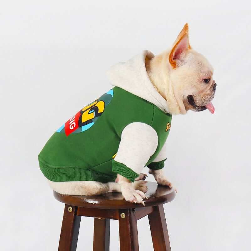 CozyPet Dog Hoodie on a French Bulldog, featuring soft cotton for warmth in fall and winter, perfect for Dogs & Cats.