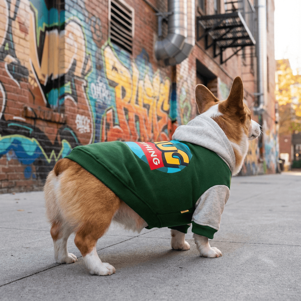 CozyPet Dog Hoodie for Dogs, stylish outdoor wear featuring a comfy design perfect for fall and winter.