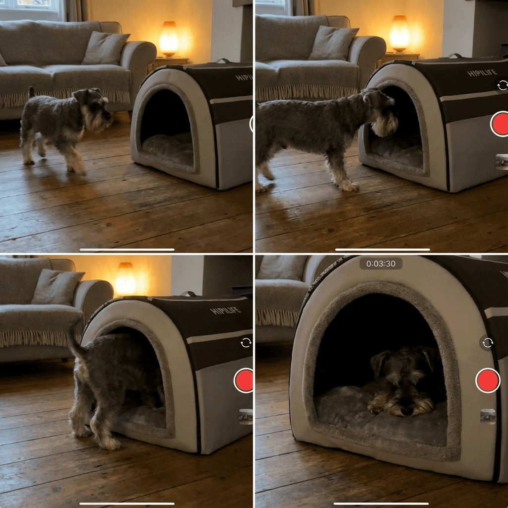 CozyWarm Dog House for Dogs & Cats, featuring a snug design for ultimate comfort and insulation during colder months.