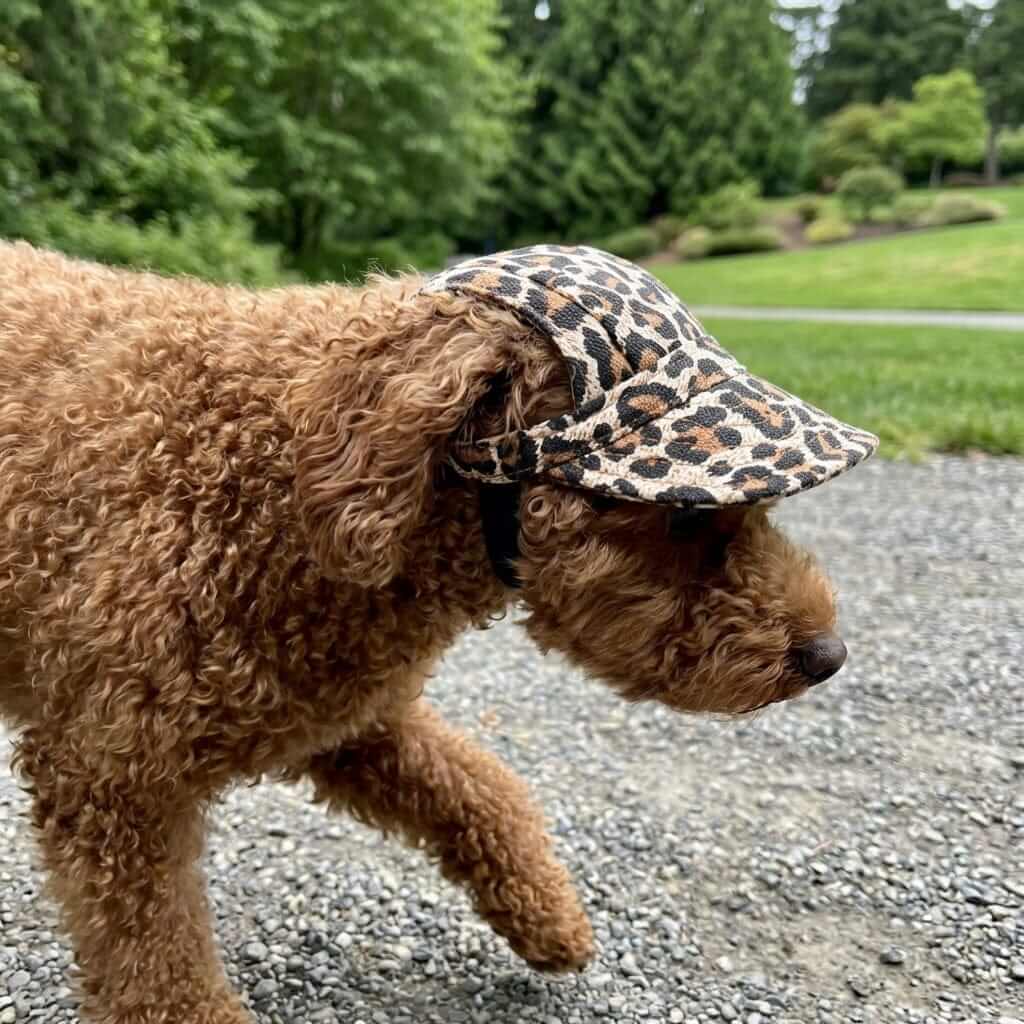 Cut Out Dog Baseball Cap on a dog, featuring a printed pattern, adjustable strap, and ultra-soft lining from Dogs & Cats.