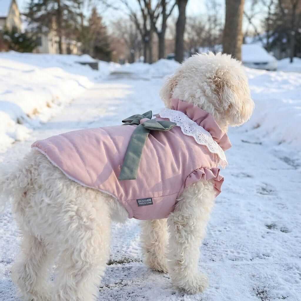 Dazzling Lace Collar Winter Dog Coat on a fluffy dog in the snow, featuring a lace collar, bowknot, and buttery soft fabric.