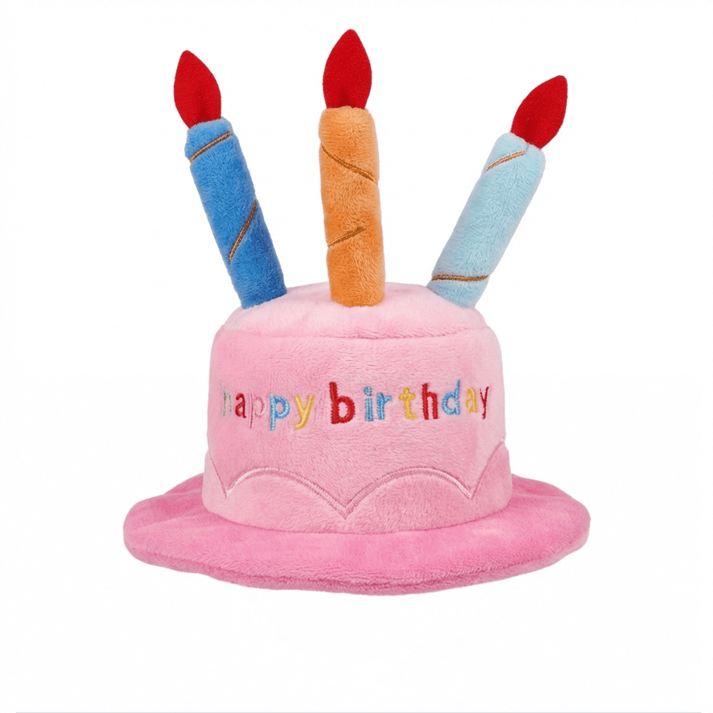 Dog Birthday Cake Hat with colorful candles, perfect for birthday celebrations for dogs and cats, by Dogs & Cats.