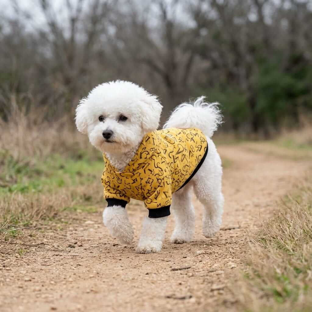 A fluffy dog wearing the Doing Math Calculations Hoodie, perfect for adventures in cool weather, keeping pets cozy and comfortable.