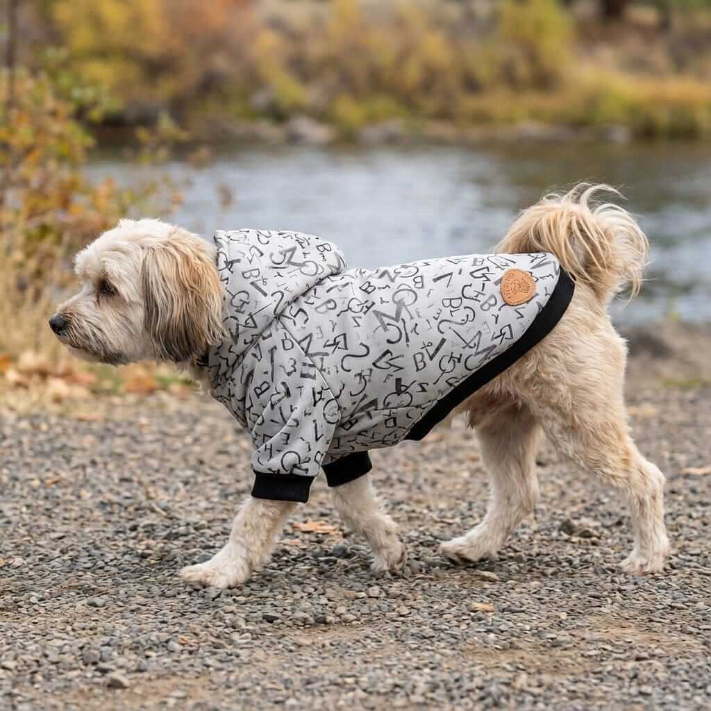 Dog wearing Doing Math Calculations Hoodie by Dogs & Cats, cozy, breathable, stylish hoodie for pets outdoors.