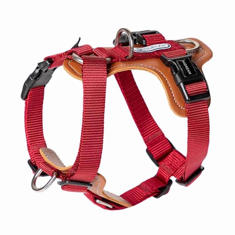 EasyControl Leather Dog Harness - no-pull adjustable harness for dogs, stylish design, high-quality leather, versatile walking options.