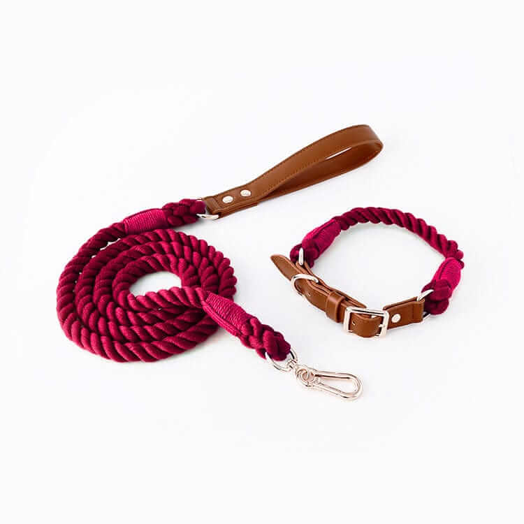 EleganceBound Collar Set - woven cotton and leather collar and leash for dogs and cats by Dogs & Cats brand.