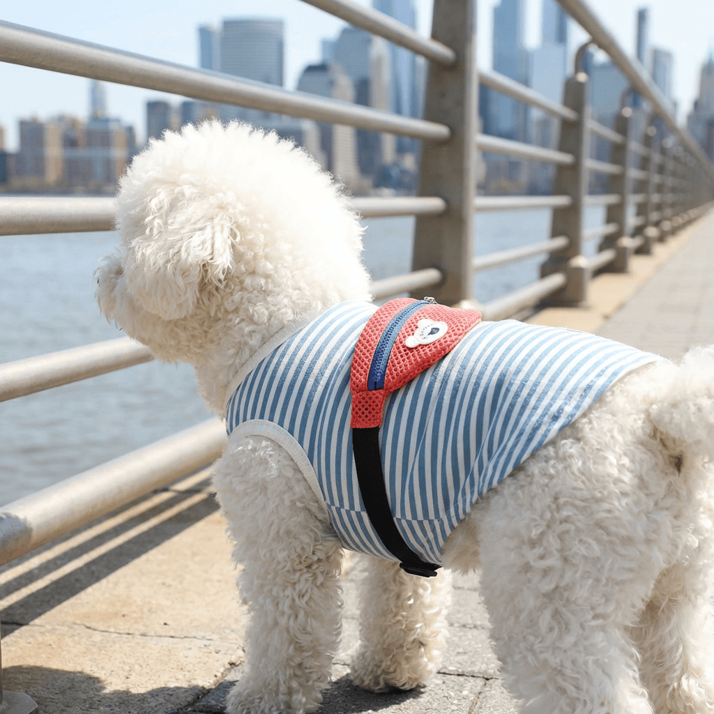 Fanny Pack Dog Vest on a fluffy dog by the water, stylish and breathable for warm weather activities.