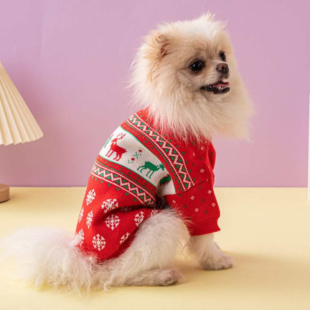 Festive Comfort Pet Sweater on a small dog, featuring holiday patterns, soft fabric for dogs and cats.